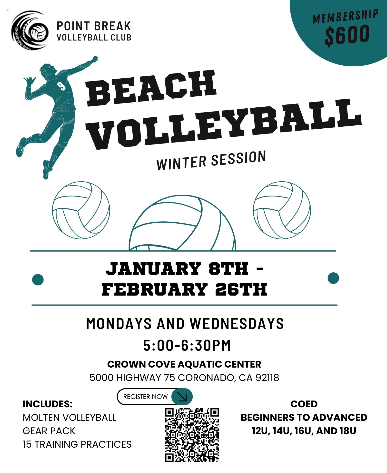 Beach Volleyball – Winter Session