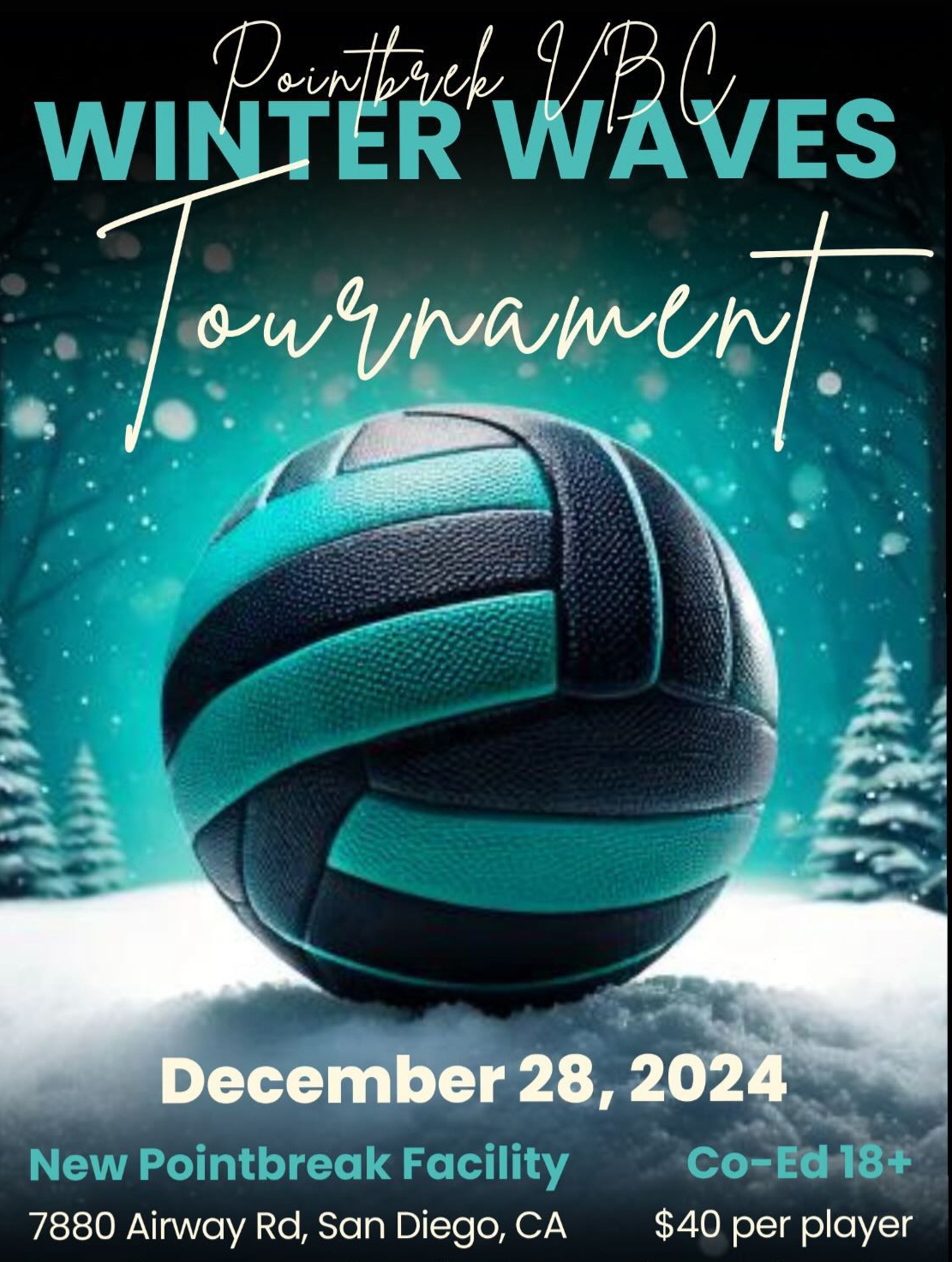 Point Break Winter Waves Adult Tournament